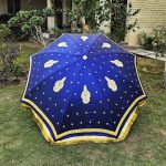 Blue Umbrella